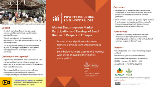 Market sheds improve market participation and earnings of small ruminant keepers in Ethiopia
