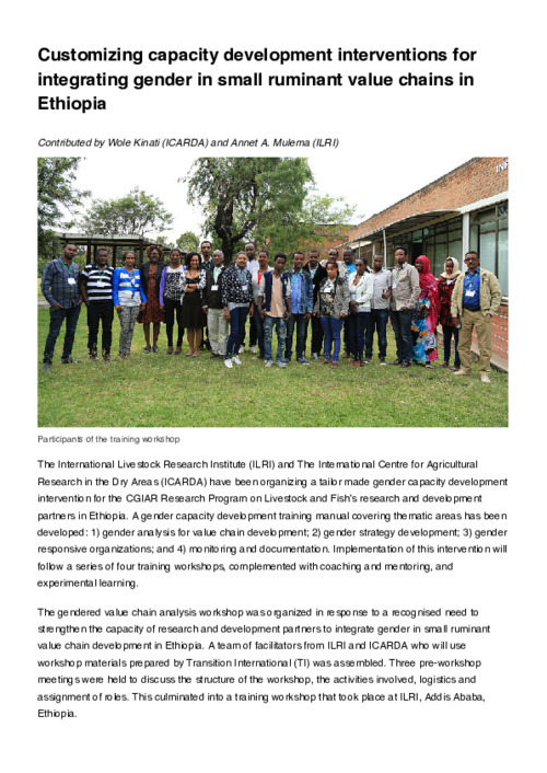 Customizing capacity development interventions for integrating gender in small ruminant value chains in Ethiopia