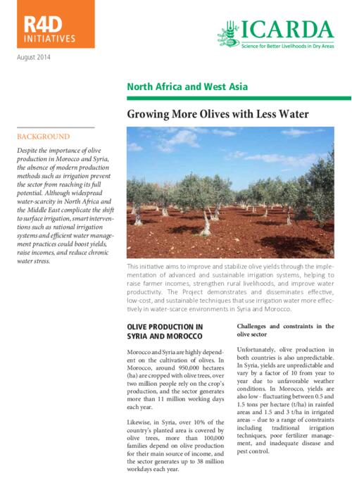 Growing More Olives with Less Water