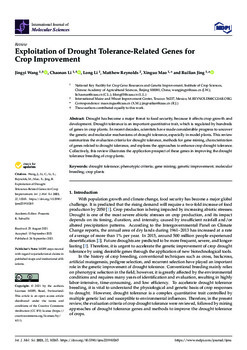 Exploitation of drought tolerance-related genes for crop improvement