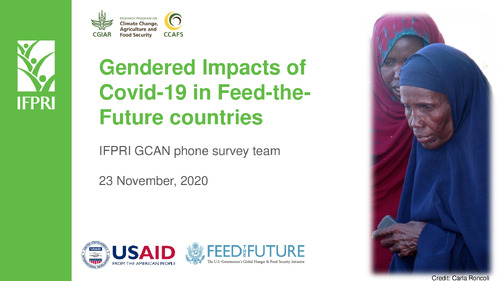 Gendered Impacts of Covid-19 in Feed-the-Future countries
