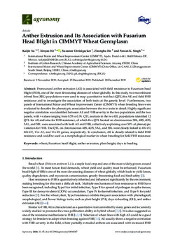 Anther extrusion and its association with Fusarium head blight in CIMMYT wheat germplasm