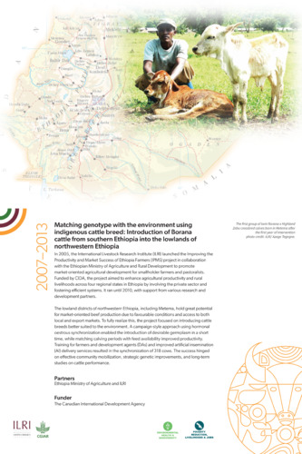Matching genotype with the environment using indigenous cattle breed: Introduction of Borana cattle from southern Ethiopia into the lowlands of northwestern Ethiopia, 2007–2013