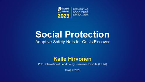 Social Protection: Adaptive Safety Nets for Crisis Recover