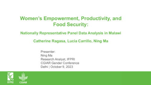 Day 1 IFPRI Presentations for 2023 CGIAR GENDER-ICAR Conference