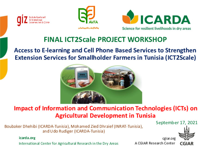 Impact of Information and Communication Technologies (ICTs) on Agricultural Development in Tunisia