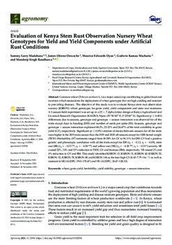 Evaluation of Kenya stem rust observation nursery wheat genotypes for yield and yield components under artificial rust conditions