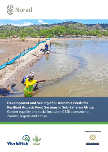 Gender equality and social inclusion (GESI) assessment: Zambia, Nigeria and Kenya