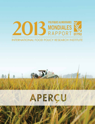 2013 Global food policy report