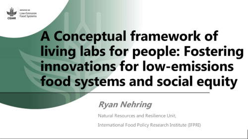 A Conceptual framework of living labs for people: Fostering innovations for low-emissions food systems and social equity