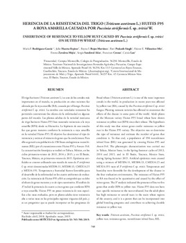 Herencia de la resistencia del trigo (Triticum aestivum L.) huites F95 a roya amarilla causada por Puccinia striiformis F. sp. tritici W.