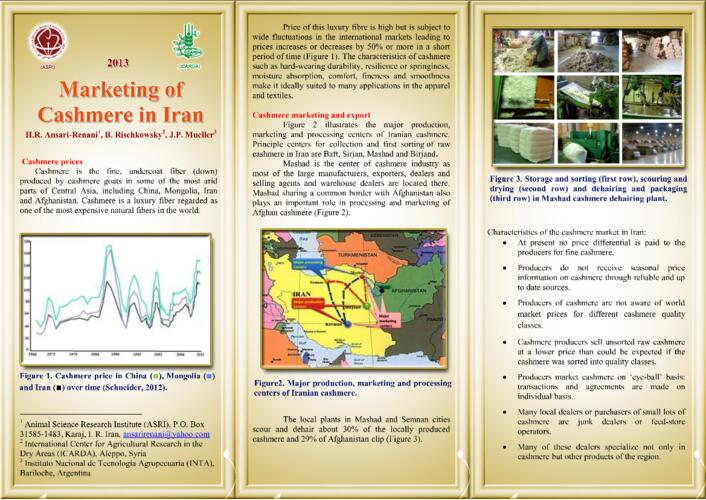 Marketing of cashmere in Iran