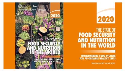 The State of Food Security and Nutrition in the World Report: Transforming Food Systems for Affordable Healthy Diets