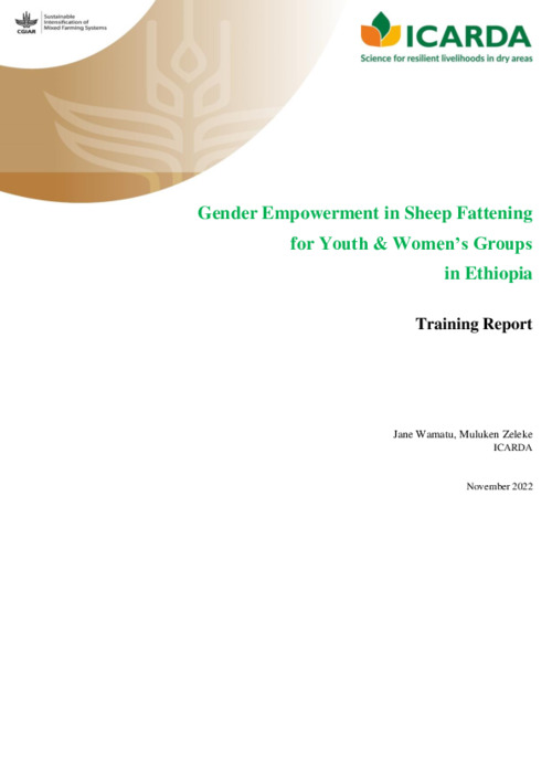 Gender Empowerment in Sheep Fattening for Youth & Women’s Groups in Ethiopia