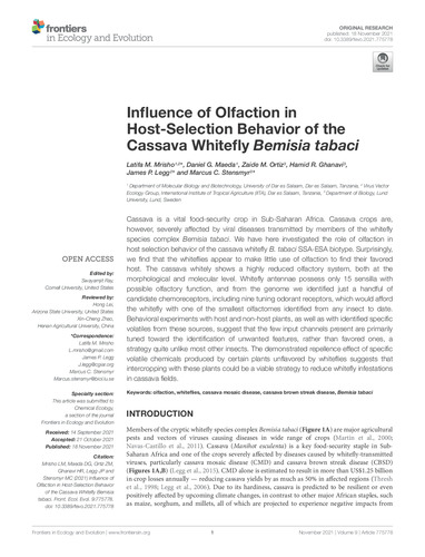 Influence of olfaction in host-selection behavior of the cassava whitefly Bemisia tabaci