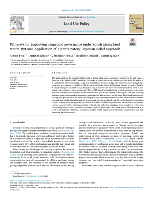 Pathways for improving rangeland governance under constraining land tenure systems: Application of a participatory Bayesian Belief approach