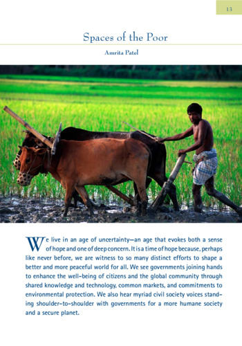 Spaces of the poor: IFPRI 2006-2007 Annual Report Essay