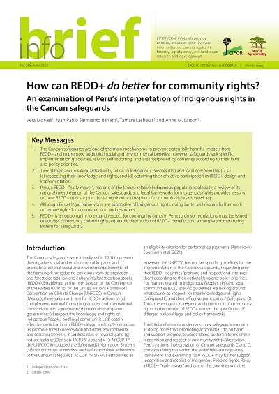 How can REDD+ do better for community rights? An examination of Peru’s interpretation of Indigenous rights in the Cancun safeguards