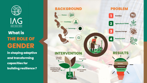 What is the role of gender in shaping adaptive and transforming capacities for building resilience