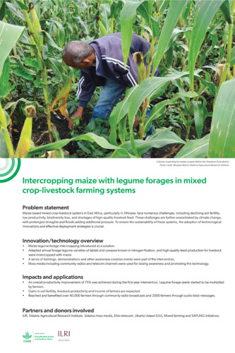 Intercropping maize with legume forages in mixed crop-livestock farming systems