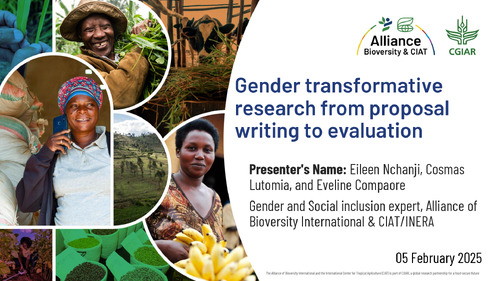 Gender transformative research from proposal writing to evaluation