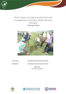 Short report on apple production and management training in Debre Birhan, Ethiopia