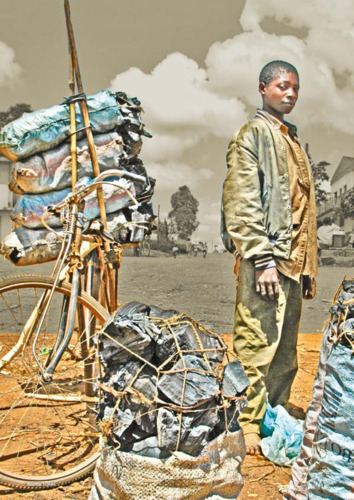 Adoption and economic impact of briquettes as cooking fuel: the case of women fish smokers in Ghana