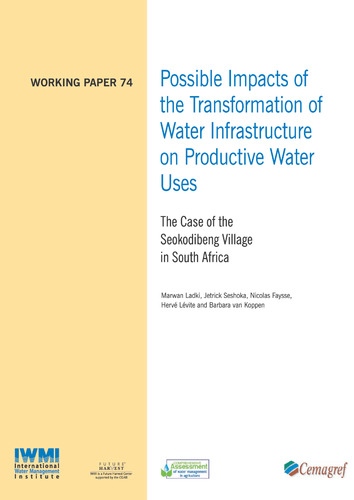 Possible impacts of the transformation of water infrastructure on productive water uses: The case of the Seokodibeng village in South Africa