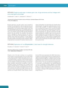 Sorghum early vigor increases grain size, striga resistance and has linkages with some stay-green phenotype