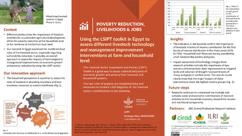 Using the LSIPT toolkit in Egypt to assess different livestock technology and management improvement interventions at farm and household level