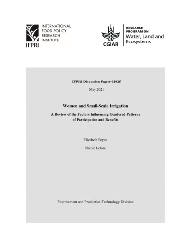 Women and small-scale irrigation: A review of the factors influencing gendered patterns of participation and benefits