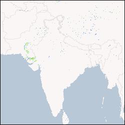 Eight-day maximum flood inundation extent for South Asia using MODIS time-series imagery (MOD09A12011257.tif)