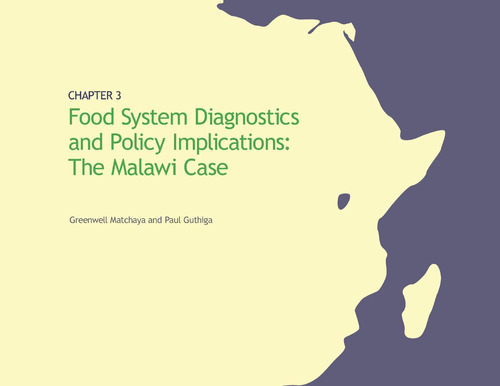 Food system diagnostics and policy implications: The Malawi case