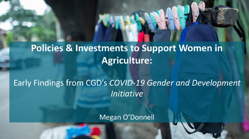 Policies & Investments to Support Women in Agriculture: Early Findings from CGD’s COVID-19 Gender and Development Initiative