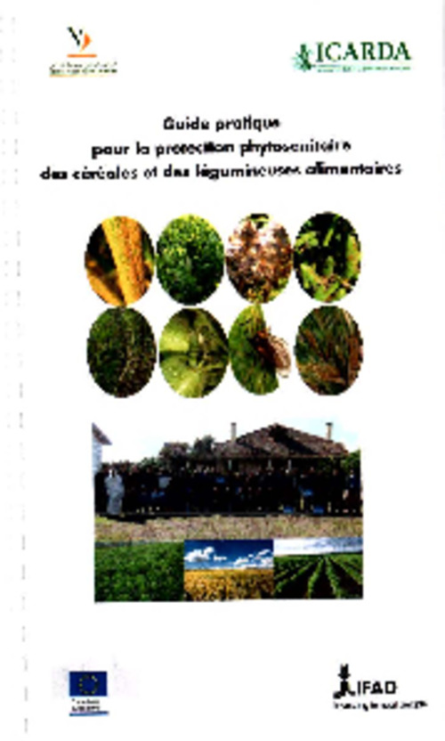 Guide pratique pour la protection phytosanitaires des cereals et legumineuses alimentaires