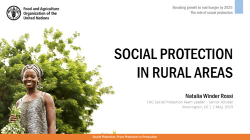 Social Protection in Rural Areas