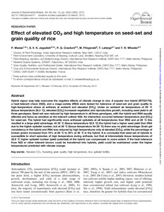 Effect of elevated CO2 and high temperature on seed-set and grain quality of rice