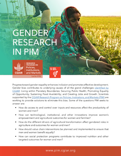 Gender research in PIM