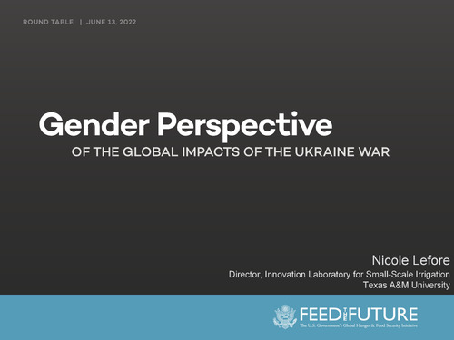 Gender Perspective of the Global Impacts of the Ukraine War