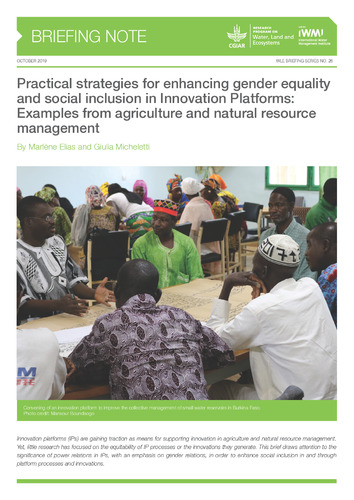 Practical strategies for enhancing gender equality and social inclusion in Innovation Platforms: Examples from agriculture and natural resource management