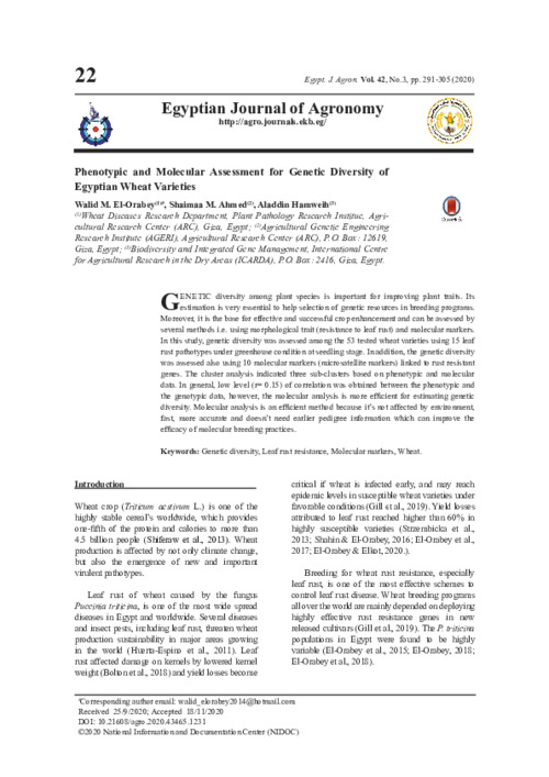 Phenotypic and Molecular Assessment for Genetic Diversity of Egyptian Wheat Varieties