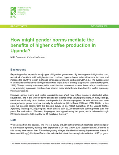 How might gender norms mediate the benefits of higher coffee production in Uganda?
