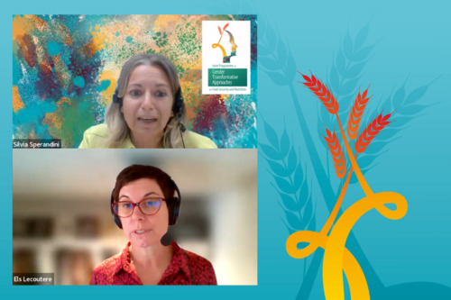 Joint Programme on Gender Transformative Approaches for Food Security and Nutrition