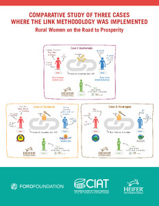 Comparative study of three cases where the link methodology was implemented: Rural women on the road to prosperity