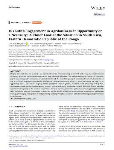 Is youth's engagement in agribusiness an opportunity or a necessity? A closer look at the situation in South Kivu, Eastern Democratic Republic of the Congo