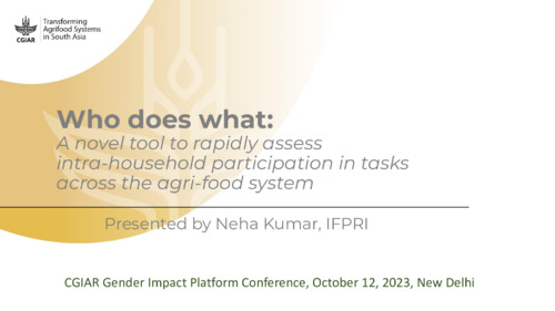 Who does what: A novel tool to rapidly assess intra-household participation in agriculture and food-related tasks