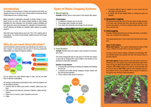 Diversified cropping systems for inclusive and resilient agri-food system in Embu County