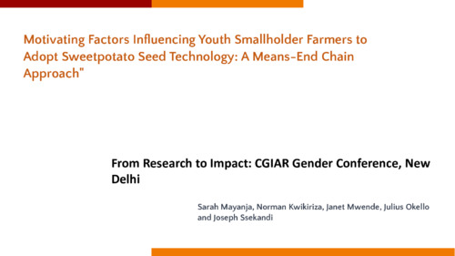 Motivating factors influencing youth smallholder farmers to adopt sweet potato seed technology: A means-end chain approach