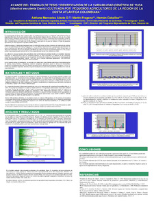 Avance del trabajo de tesis Identificación de la variabilidad genética de yuca (Manihot esculenta Crantz) cultivada por pequeños agricultores de la región de la Costa Atlántica Colombiana