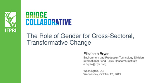 The Role of Gender for Cross-Sectoral, Transformative Change